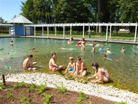 Ferienhaus Chalet Blockhaus Bayern Stamsried Экстерьер фото